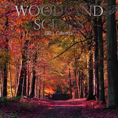 2021 Calendar Featuring Photographs of Woodland Scenes Barnardo #39 s