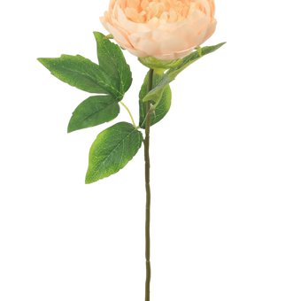 Single Stem Silk Pale Pink Peony- 56cm Single Stem Silk Pale Pink Peony- 56cm