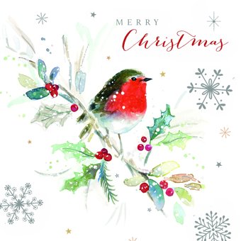 Luxury Robin Design Charity Christmas Cards - Pack of 8 Luxury Robin Design Charity Christmas Cards - Pack of 8