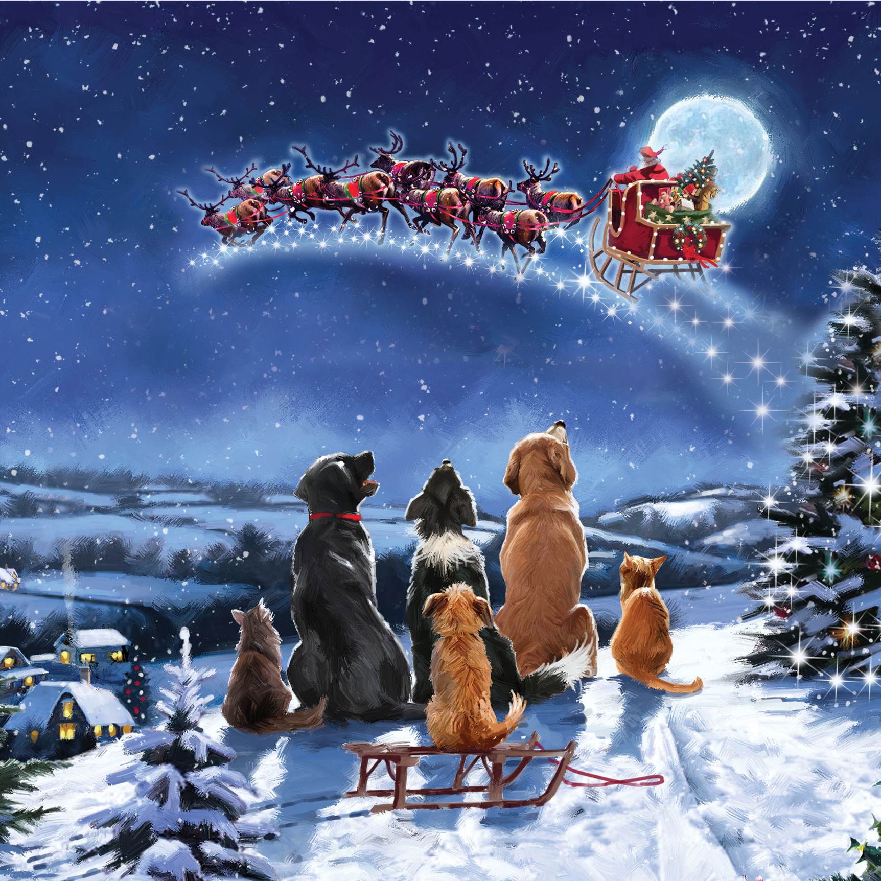 Photo christmas cards discount