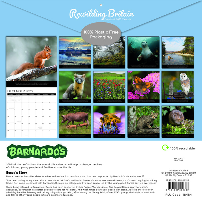 Barnardos 2025 Calendar Sonia Modesta Charity Calendar 2025 Uk