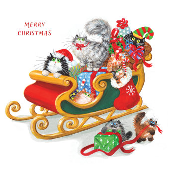 Christmas Cats Pack of 10 Charity Christmas Cards Christmas Cats Pack of 10 Charity Christmas Cards
