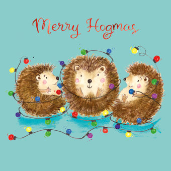 Merry Hogmas Pack of 10 Charity Christmas Cards Merry Hogmas Pack of 10 Charity Christmas Cards