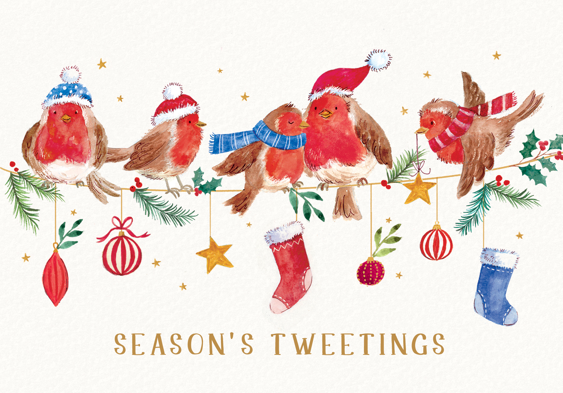 Jolly Robins Pack of 10 Charity Christmas Cards