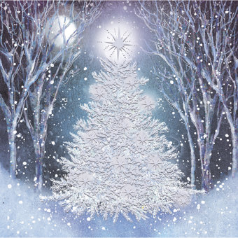 Frosted Winter Tree Design Pack of 10 Charity Christmas Cards  Frosted Winter Tree Design Pack of 10 Charity Christmas Cards