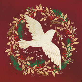 Peace Dove Design Pack of 10 Charity Christmas Cards  Peace Dove Design Pack of 10 Charity Christmas Cards