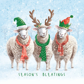 Season's Bleatings Design Pack of 10 Charity Christmas Cards  Season's Bleatings Design Pack of 10 Charity Christmas Cards
