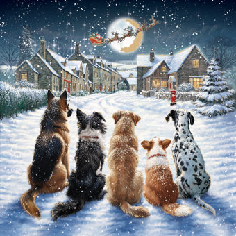 Dogs Waiting for Santa Design Pack of 10 Charity Christmas Cards  Dogs Waiting for Santa Design Pack of 10 Charity Christmas Cards