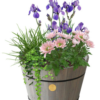 Vegtrug Wooden Small Grey Wash Build-a-Barrel Planter Kit  Vegtrug Wooden Small Grey Wash Build-a-Barrel Planter Kit