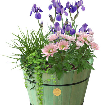 Vegtrug Wooden Small Sage Green Build-a-Barrel Planter Kit Vegtrug Wooden Small Sage Green Build-a-Barrel Planter Kit