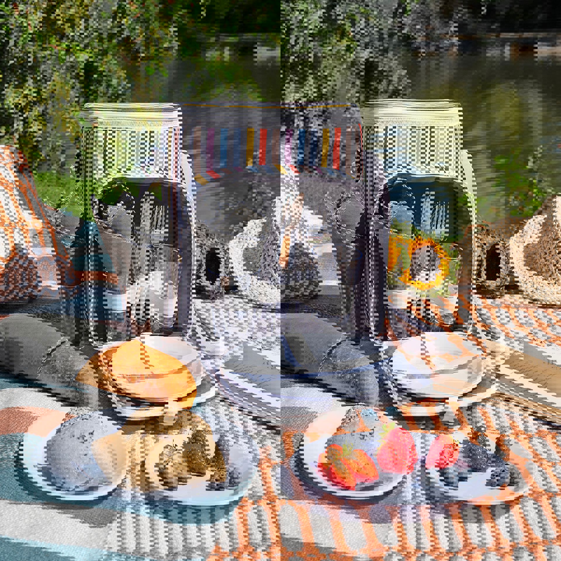 Country Living 4-Person Picnic Bag