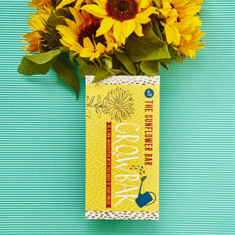 The Sunflower Seed Collection Growbar The Sunflower Seed Collection Growbar
