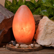 Hestia Egg Shaped Rock Salt Lamp on a Wooden Base