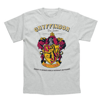 Children's Harry Potter Gryffindor Sports Grey T-Shirt Children's Harry Potter Gryffindor Sports Grey T-Shirt