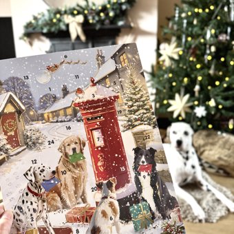 Christmas Delivery Large Traditional Christmas Advent Calendar Christmas Delivery Large Traditional Christmas Advent Calendar