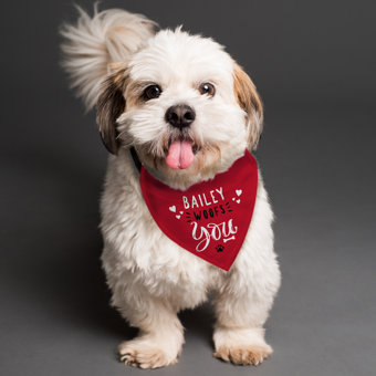 Personalised Woofs You Dog Bandana Personalised Woofs You Dog Bandana