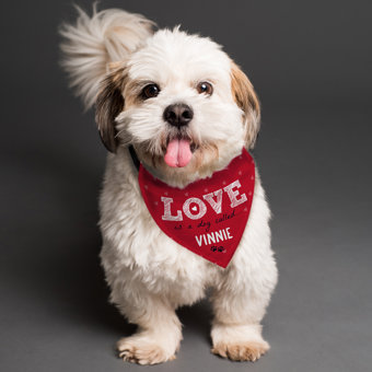 Personalised Love is... Dog Bandana Personalised Love is... Dog Bandana