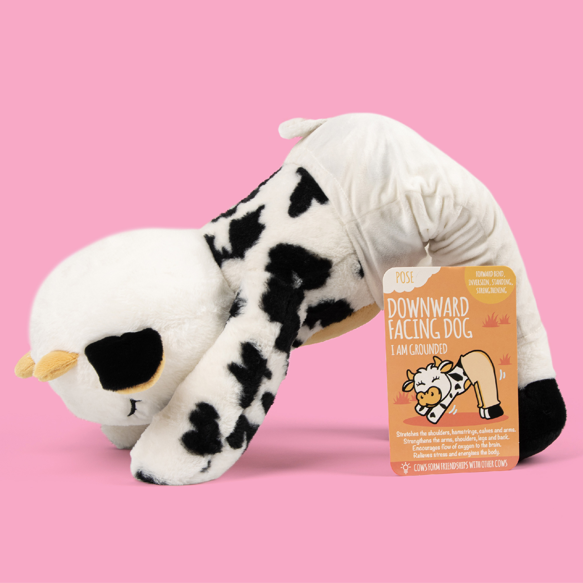 Molly moo best sale cow toy