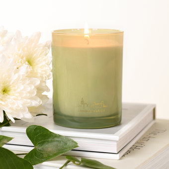 The London Wax Company Cherished Moment 1 Wick Candle 227g The London Wax Company Cherished Moment 1 Wick Candle 227g