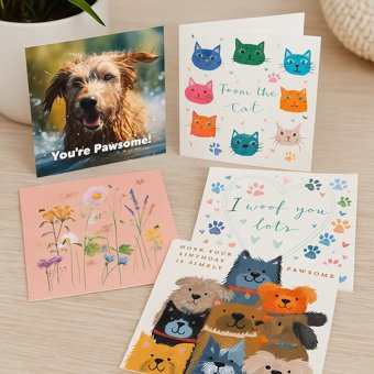Creature Comforts Packs Of 5 Cards Creature Comforts Packs Of 5 Cards