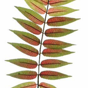 Autumn Fern Artificial Flower Stem Autumn Fern Artificial Flower Stem