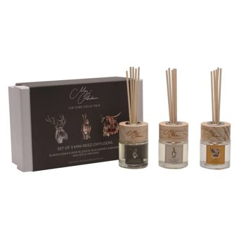 Meg Hawkins Set of 3 Mini Diffusers  Meg Hawkins Set of 3 Mini Diffusers